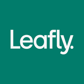 Leafly-icoon