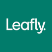 Leafly: Find Cannabis and CBD simgesi
