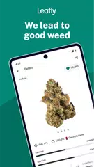 Leafly: Find Cannabis and CBD APK Herunterladen