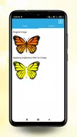 Learn CSS 截圖 1