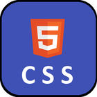Learn CSS Programming icône