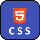 Learn CSS Programming 图标