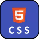 Learn CSS Programming icono