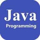 Learn Java Programming APK