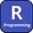 Learn R Programming APK