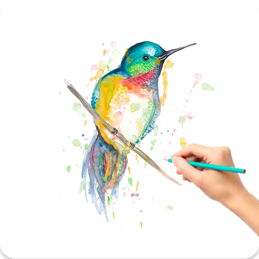 Drawing Animals