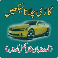 Скачать Learn Driving in Urdu APK