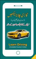 Learn Driving Cartaz