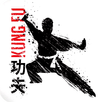 Learn Kung Fu APK
