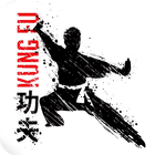 Learn Kung Fu آئیکن