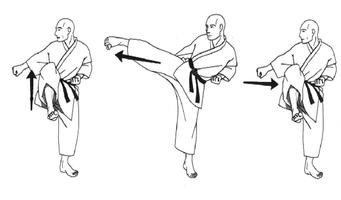 lerne Kung Fu Screenshot 2