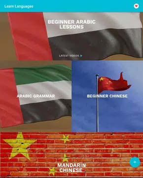 Screenshot 15 for Learn new languages app for free