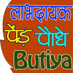 Ayurvedic Paudhe or Jadi Buti (पौधे जड़ी बूटियां)