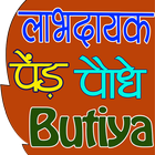 Ayurvedic Paudhe or Jadi Buti (पौधे जड़ी बूटियां) ikon