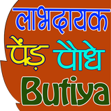 Ayurvedic Paudhe or Jadi Buti (पौधे जड़ी बूटियां) biểu tượng