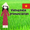 Learn vietnamese _ image voice APK