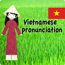 Learn vietnamese _ image voice APK