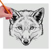 Learn to Draw Animals  by step