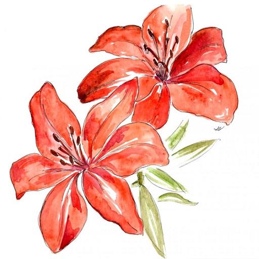 Learn How To Draw Flowers - Step By Step Drawing