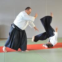 Dowiedz się Aikido plakat
