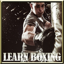 Aprenda boxe APK