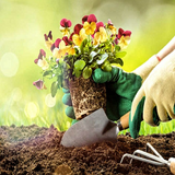 Learn Gardening ไอคอน