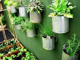 برنامه‌نما باغبانی را بیاموزید عکس از صفحه