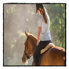 Learn Horse Riding-icoon