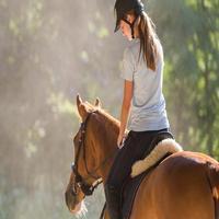Learn Horse Riding poster