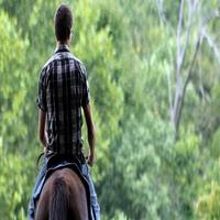 Learn Horse Riding screenshot 1