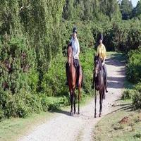 Apprendre à monter à cheval capture d'écran 2