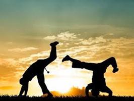 Aprenda Capoeira com Vídeos imagem de tela 1