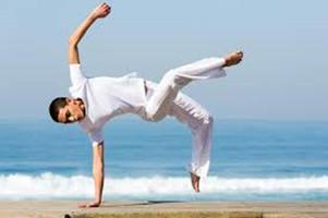 Aprender Capoeira con Videos captura de pantalla 2