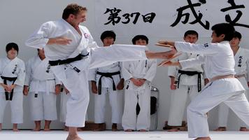 Pelajari Karate poster
