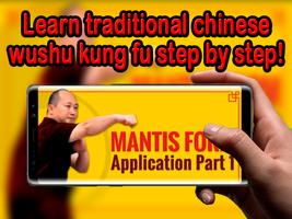 Learn Kung Fu پوسٹر