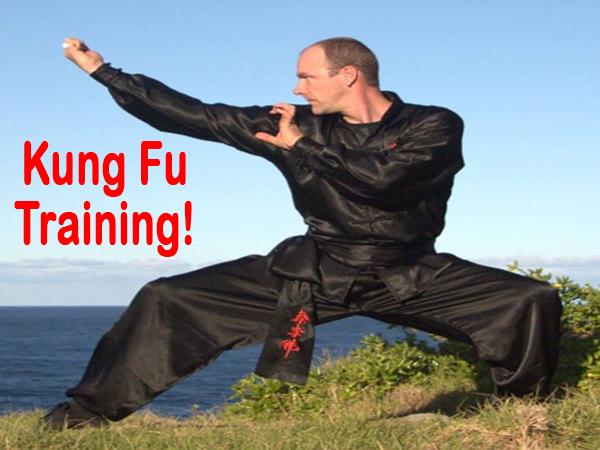 Impara Le Tecniche Di Kung Fu For Android Apk Download
