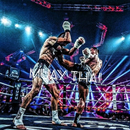 Dowiedz się Muay Thai aplikacja