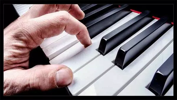 Learn to play piano from scratch APK for Android Download