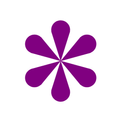 JUDY - Legal Research Platform