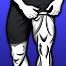 Leg Workouts,Exercises for Men APK