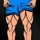 Leg Workouts For Men