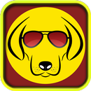 APK Dog whistle - Whistle for dogs