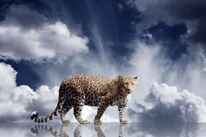 Leopard HD Wallpaper capture d'écran 2