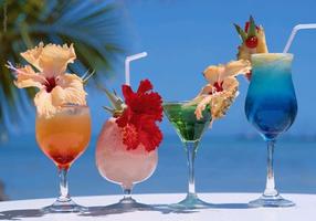 Drink recipes اسکرین شاٹ 3