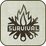 Survival lessons