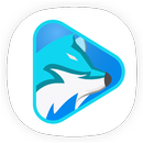 FoxFM Video Player - Offline APK