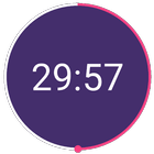 Half Hour Alarm icône