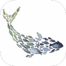 LITTLE FISH WA APK