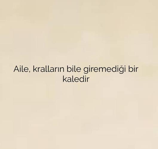 https apkpure com es aile i cc 87le i cc 87lgili s c3 b6zler littleappas aileileilgili word