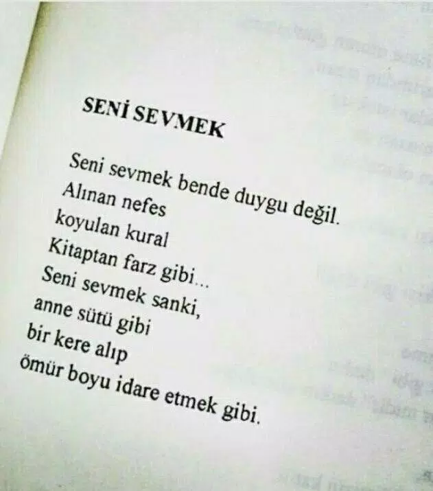 bi kızın benden hoşlandığını nasıl anlarım dünyanın en iyi pornosu